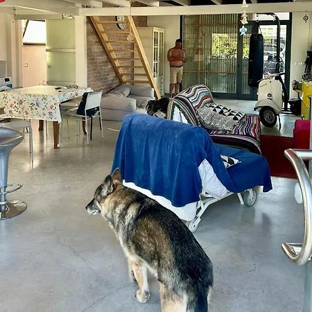 Loft Immerso Nel Holiday home Francavilla Al Mare