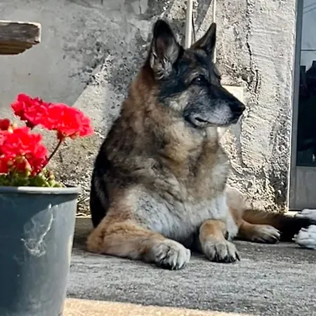 Loft Immerso Nel Francavilla Al Mare