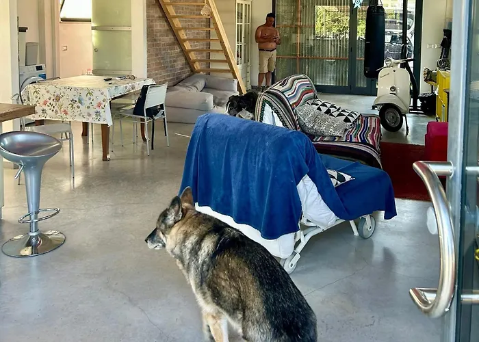 Loft Immerso Nel Tatil Evi Francavilla Al Mare